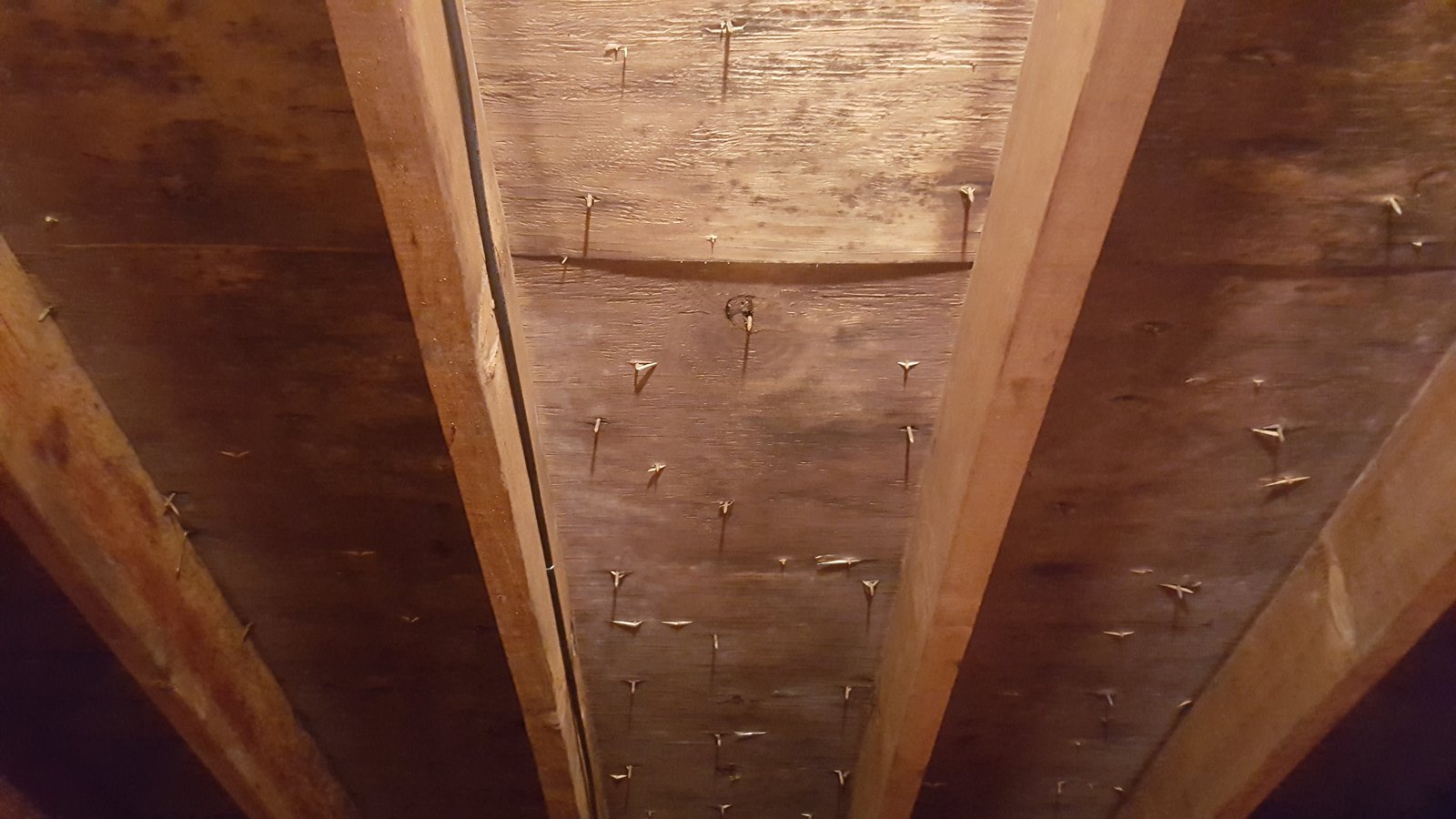 Before mold remediation roof